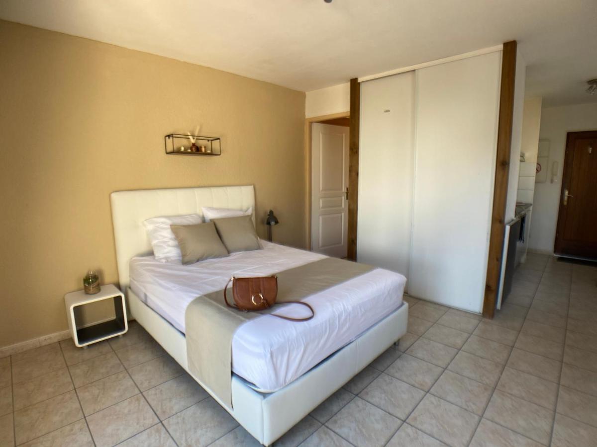 Studio Climatise Et Grande Terrasse Tarbes Centre المظهر الخارجي الصورة